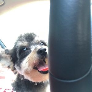 Meet your Posher, MissTee